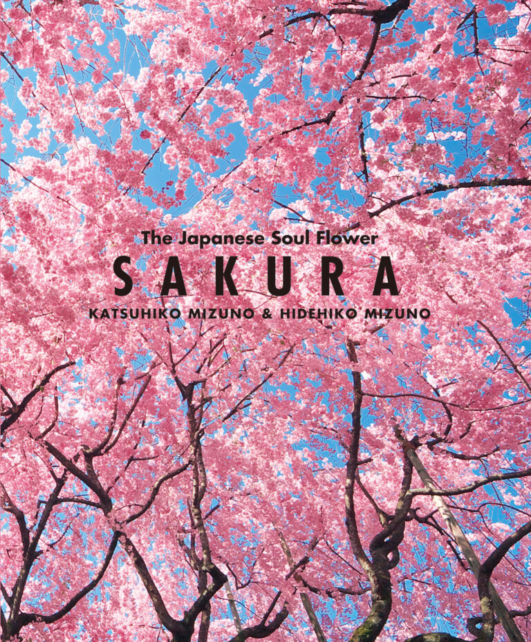 SAKURA: The Japanese Soul Flower