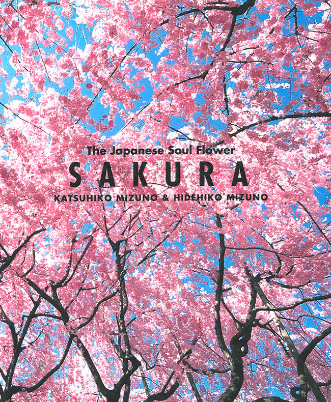 SAKURA: The Japanese Soul Flower | IBCパブリッシング - 多読・多聴 
